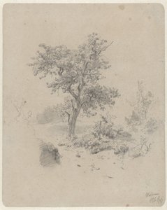 Landschaft mit Eiche von Paul Joseph Constantin Gabriel