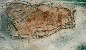 Schlafende Katze