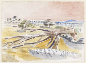 Monsterfeld, Studie II