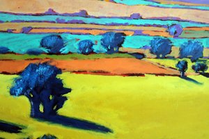 Cotswold Way Nahaufnahme 9 von Paul Powis