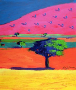 Pink Hill von Paul Powis