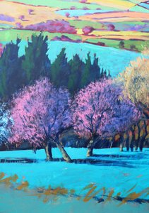 Teme Valley April Nahaufnahme von Paul Powis