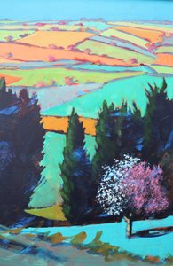 Teme-Tal Blüte Nahaufnahme von Paul Powis