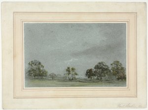 Landschaft