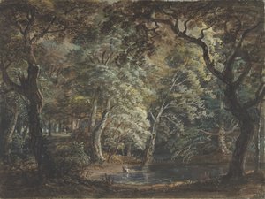 Windsor Great Park, 1790-99 von Paul Sandby