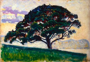 Große Kiefer, Saint-Tropez, 1892-1893
