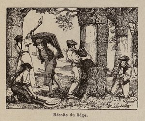 Korkernte von Paul de Laubadere