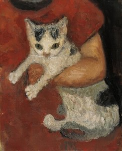 Katze in einem Kinderarm