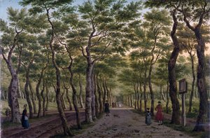Der Herepad im Haagse Bos von Paulus Constantin La Fargue