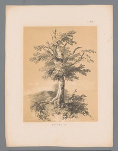 Baum (Pittoreske Ansichten von Paulus Lauters) von Paulus Lauters