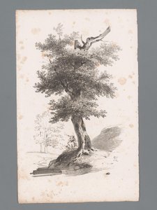 Landschaft mit Baum