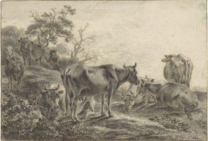 Rinderherde
