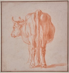 Kuh (Tierstudie) von Paulus Potter