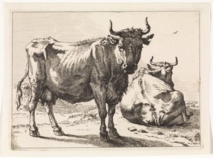 Eine stehende und eine liegende Kuh Das Bullenbuch (Serientitel) von Paulus Potter