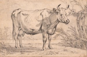 Eine stehende Kuh von Paulus Potter