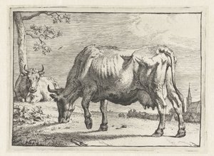 Weidende Kuh von Paulus Potter