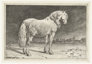 Das Friesenpferd von Paulus Potter