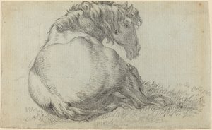 Ruhendes Pferd von Paulus Potter