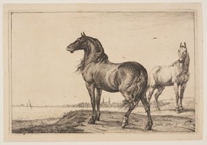 Das gestutzte Pferd, aus der Serie von Pferden