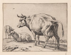 Die Pissende Kuh, aus Verschiedene Ochsen und Kühe von Paulus Potter