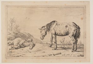 Das abgenutzte Pferd, aus der Serie von Pferden von Paulus Potter