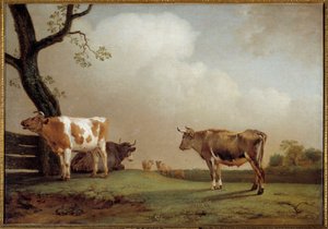 Die Wiese Eine Herde Kühe auf einer Wiese von Paulus Potter