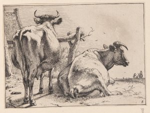 Zwei Kühe von hinten gesehen, aus Verschiedene Ochsen und Kühe von Paulus Potter