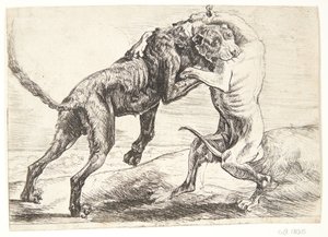 Zwei kämpfende Hunde