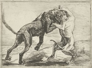 Zwei kämpfende Hunde