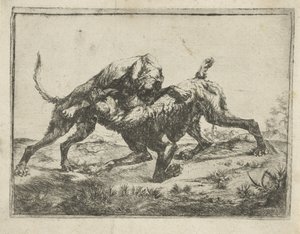 Kämpfende Hunde