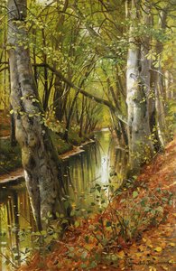 Bewaldete Flusslandschaft