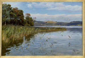 Sommertag am See