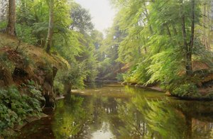 Der ruhige Fluss