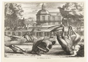 Pelikanen von Peeter Boel (attributed to)