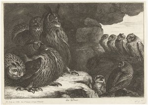 Eulen in einer Höhle von Peeter Boel (attributed to)
