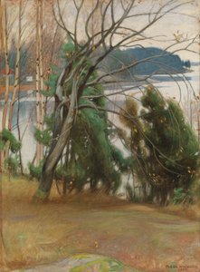  von Pekka Halonen