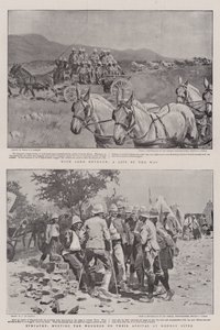 Der Krieg in Südafrika
