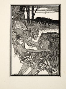 Eine dankbare Löwin, aus Hundert Anekdoten von Tieren, veröffentlicht 1924 von Percy J. Billingshurst