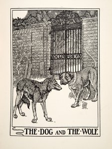 Der Hund und der Wolf, aus Hundert Fabeln von Äsop, veröffentlicht 1903 (Gravur) von Percy J. Billingshurst