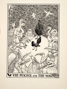 Der Pfau und die Elster, aus Hundert Fabeln von Äsop, veröffentlicht 1903 (Gravur) von Percy J. Billingshurst