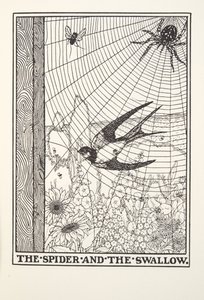 Die Spinne und die Schwalbe, aus Fontaine Fabeln, veröffentlicht 1905