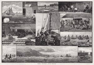 Fischereiindustrie, Austernbaggern (Gravur) von Percy Robert Craft