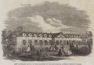 Neues Antilopenhaus in den Gärten der Zoologischen Gesellschaft, Regent