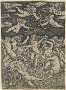 Der Triumph der Galatea von Peregrino da Cesena
