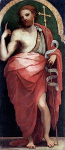 Johannes der Täufer, Seitenpaneel (Öl auf Holz, ca. 1535) von Perino del Vaga