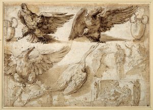 Studien eines Adlers, einer Gans, eines Krugs, eines Gefäßes und menschlicher Figuren, darunter zwei für eine Vergewaltigung der Lucretia