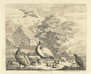 Gänse mit Küken an einem Bach von Peter Casteels (III)