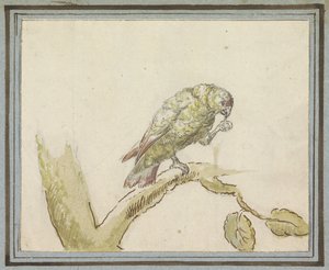Papagei auf einem Ast eines Baumes von Peter Casteels (III)