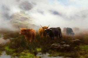 Moorland und Nebel von Peter Graham
