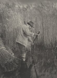 Ein Schilfschneider bei der Arbeit, 1886. Schöpfer: Dr. Peter Henry Emerson, Thomas Frederick Goodall